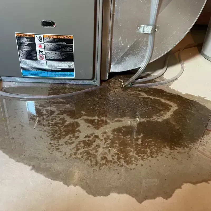 Appliance Leak Cleanup in Round Lake, IL